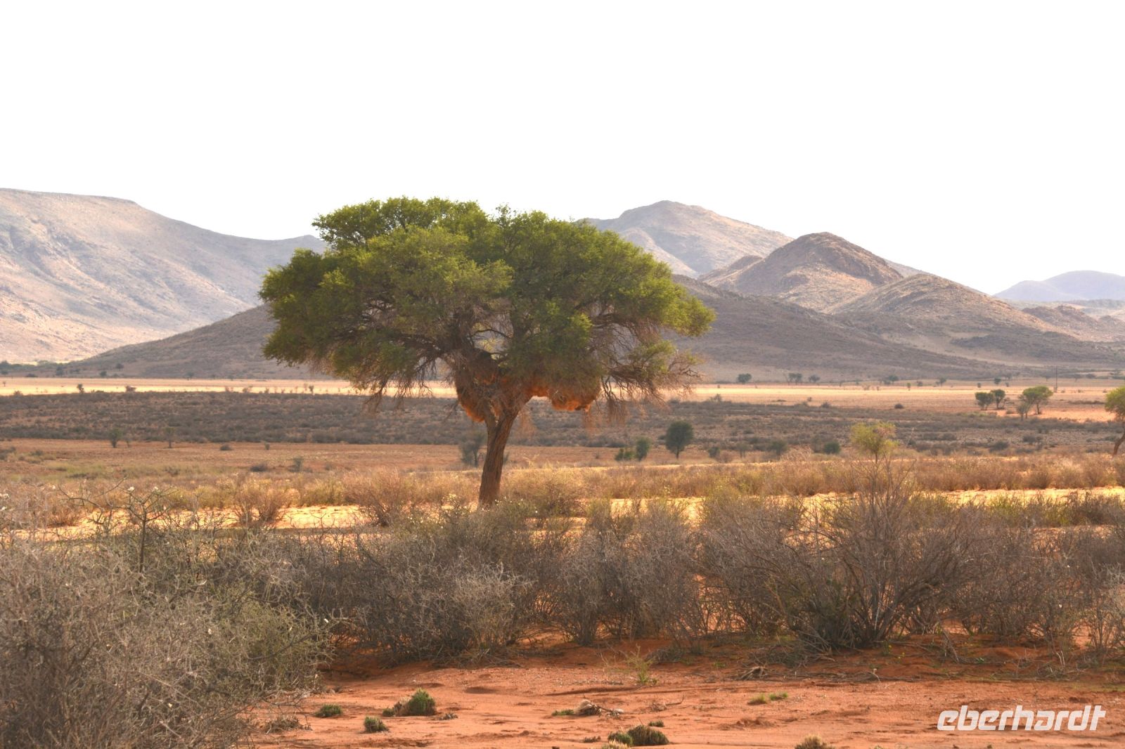 hier hatten wir die 2. Reifenpanne