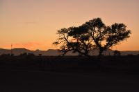 Morgenstimmung in der Elegant Desert Lodge