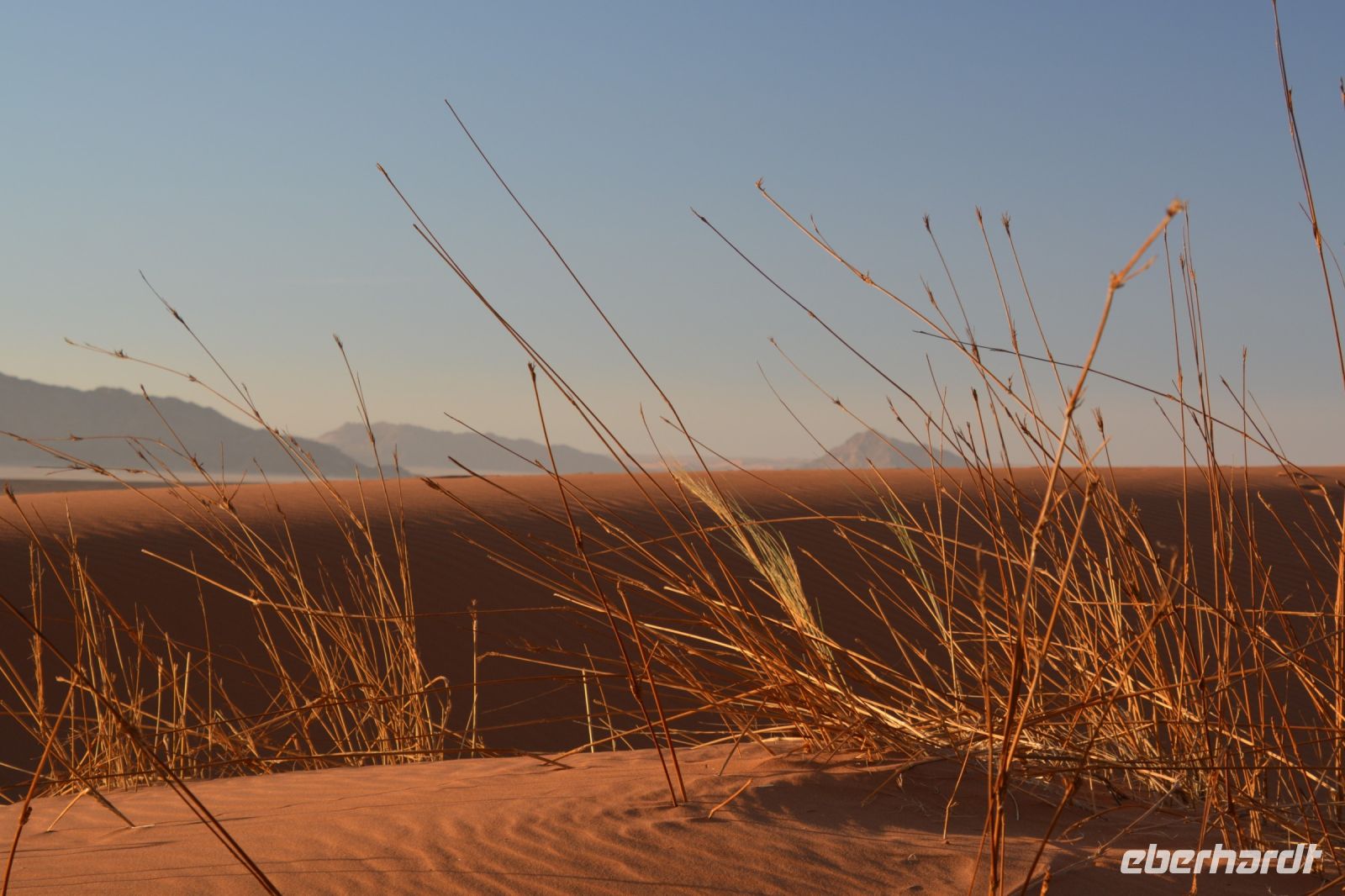 Stimmungsbild in Sossusvlei