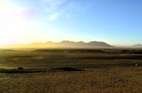 Gegenlicht im Namib Naukluft Nationalpark