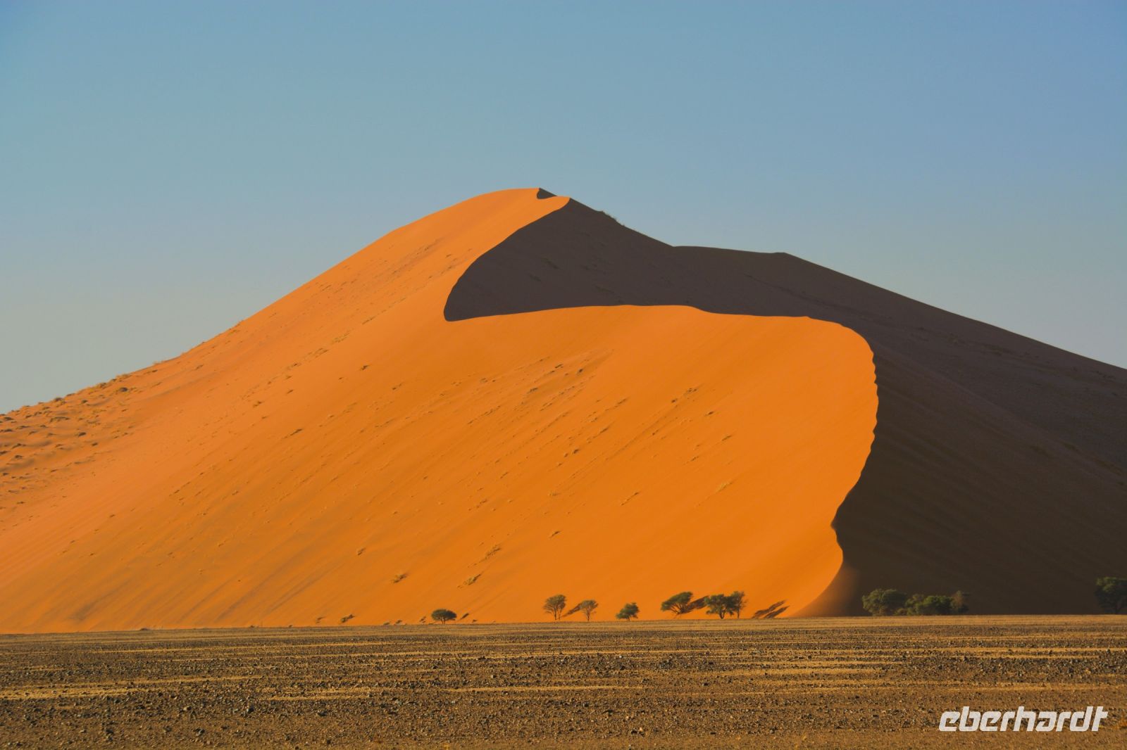 Big Daddy mit über 350 m Höhe in Sossusvlei