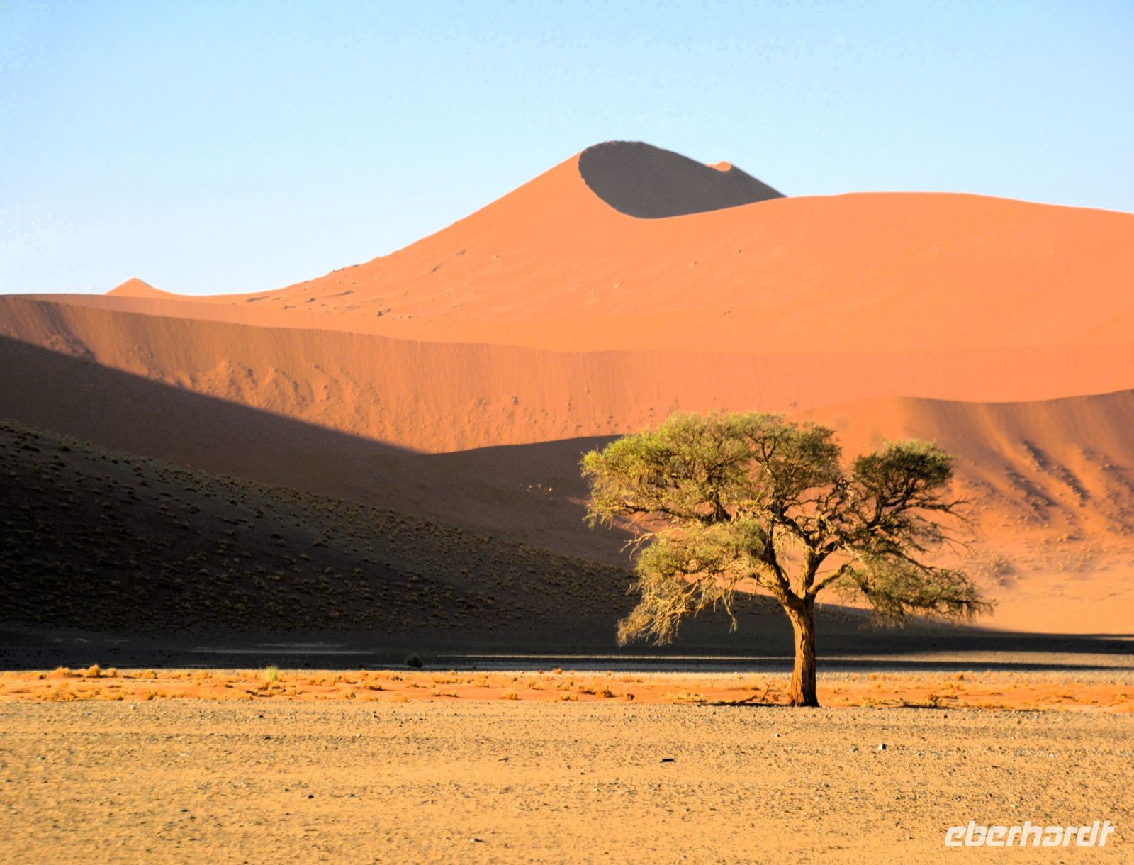 der rote Sand der Namib