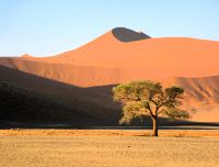 der rote Sand der Namib