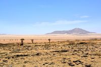 Straße Richtung Walvisbay