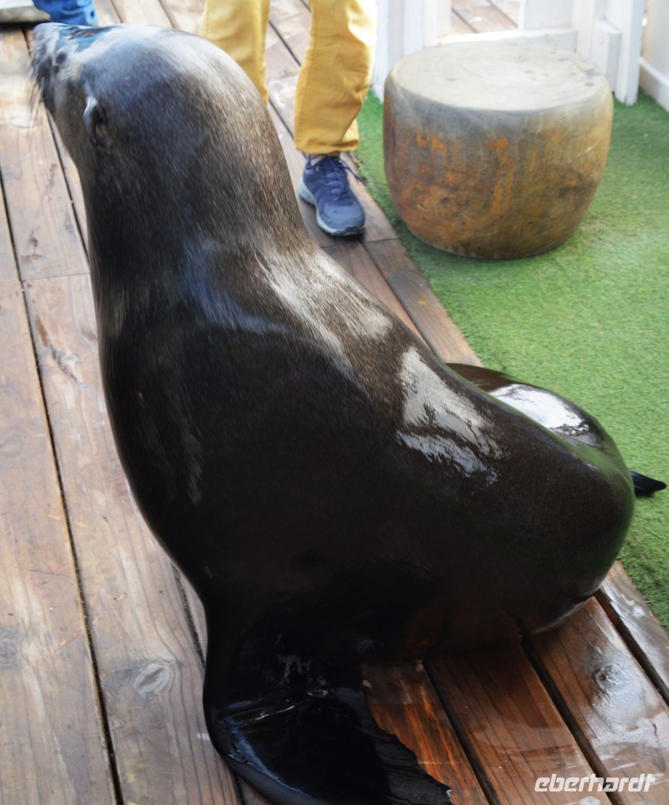 und Bobby ebenfalls!