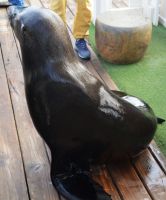 und Bobby ebenfalls!