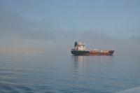 wir sind nicht alleine