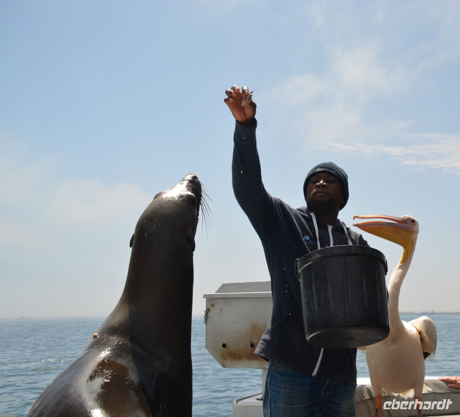 auch Bobby  bekommt Belohnung