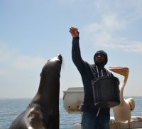 auch Bobby  bekommt Belohnung