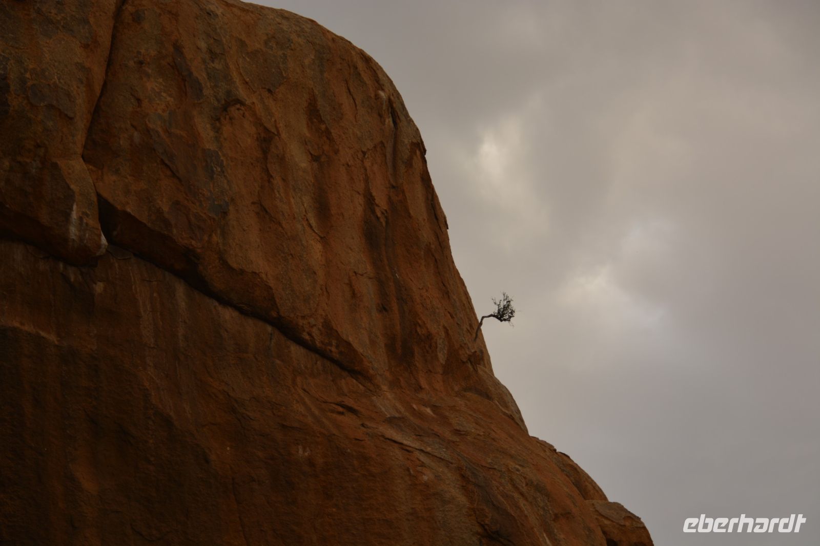 einsames Bäumchen am Felsen