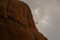 einsames Bäumchen am Felsen