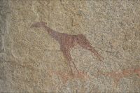 Felsmalerei Giraffendarstellung (Ai Aiba Lodge)