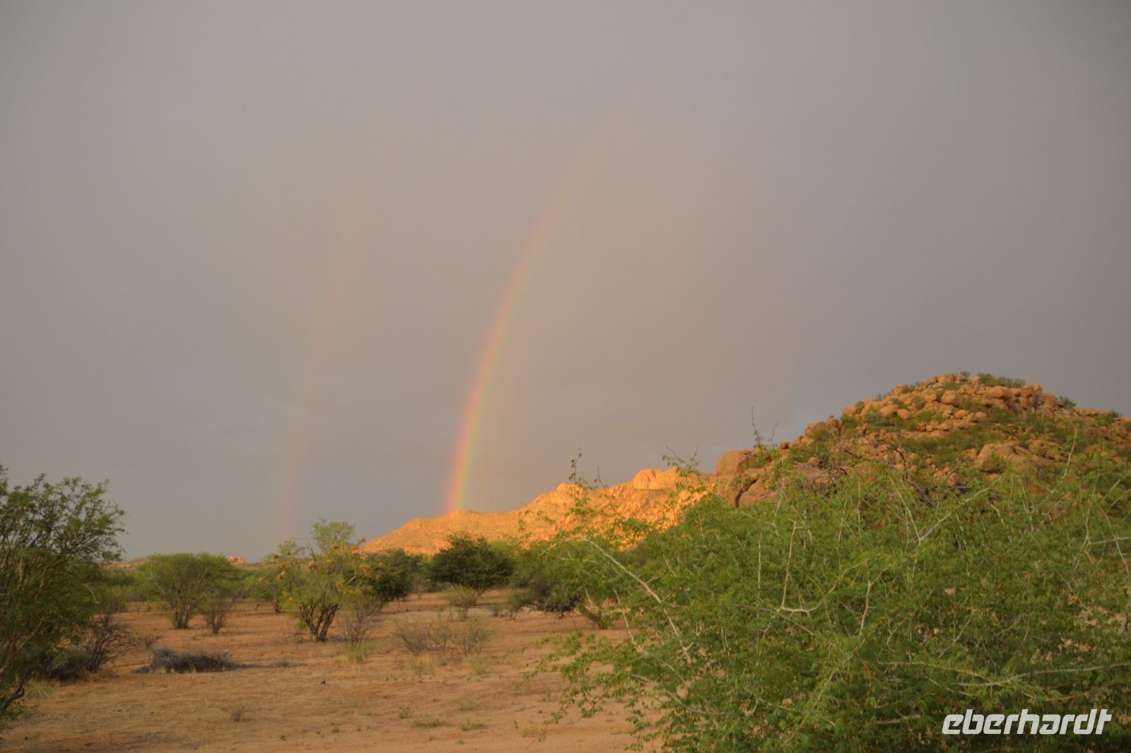 wir sollten in die Ai Aiba-Lodge zurück