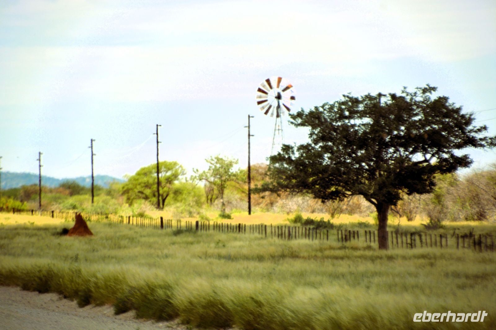 Fahrt durch Termitenhügelland nach Etosha
