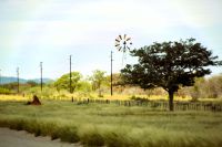 Fahrt durch Termitenhügelland nach Etosha