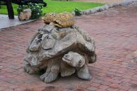 Schildkröten in der Ai Aiba-Lodge