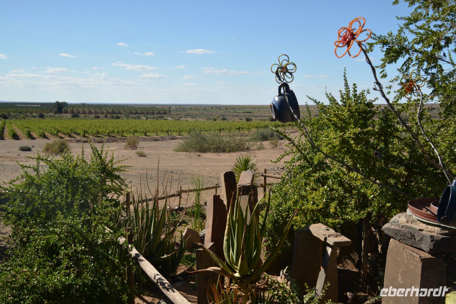 Grüne Oase am Naute-Staudamm