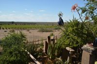 Grüne Oase am Naute-Staudamm