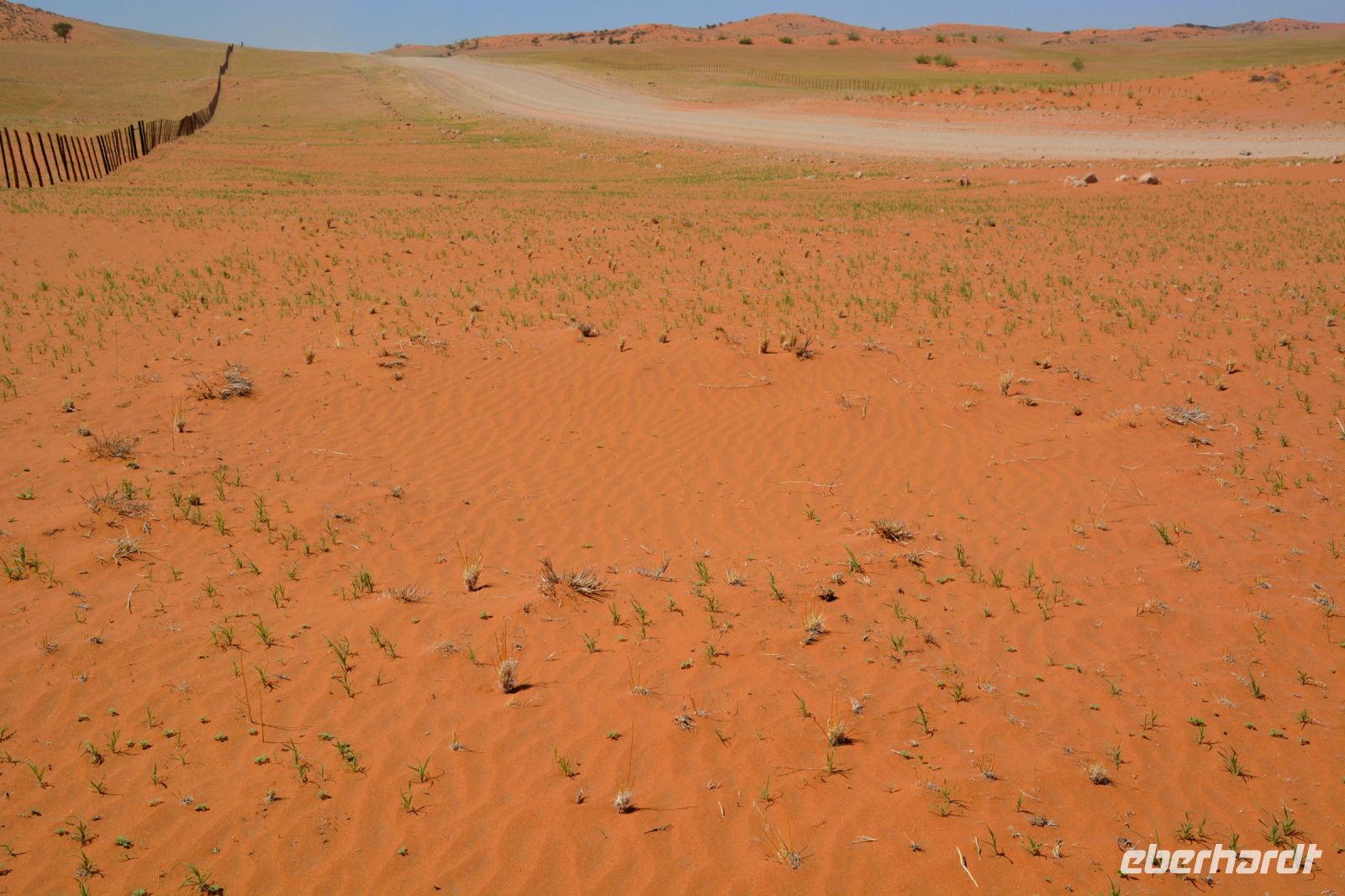 Hexenringe neben der Piste zum Kuiseb Canyon