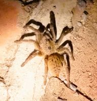 Michael hat Besuch im Garten   Bild: c/Michael