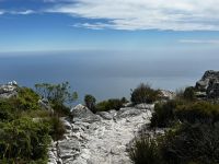 Kapstadt: Blick vom Tafelberg