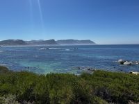 Kapstadt: Boulders Bay 