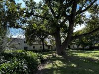 Stellenbosch: Weingut Blauuwklippen