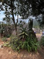 Mantenga Culture Village: Behausung aus dem 19. Jahrhundert