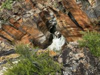Bourkes Luck Potholes