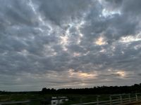 Krüger Nationalpark: Sonnenaufgang und zeitige Pirschfahrt