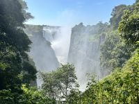 Vic Falls:  Victoria Wasserfälle