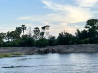 Vic Falls: Bootsfahrt auf dem Sambesi