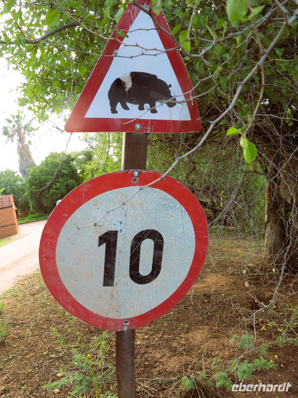22 Warnung vor Hippos