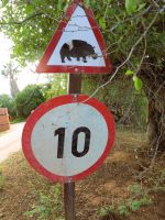 22 Warnung vor Hippos