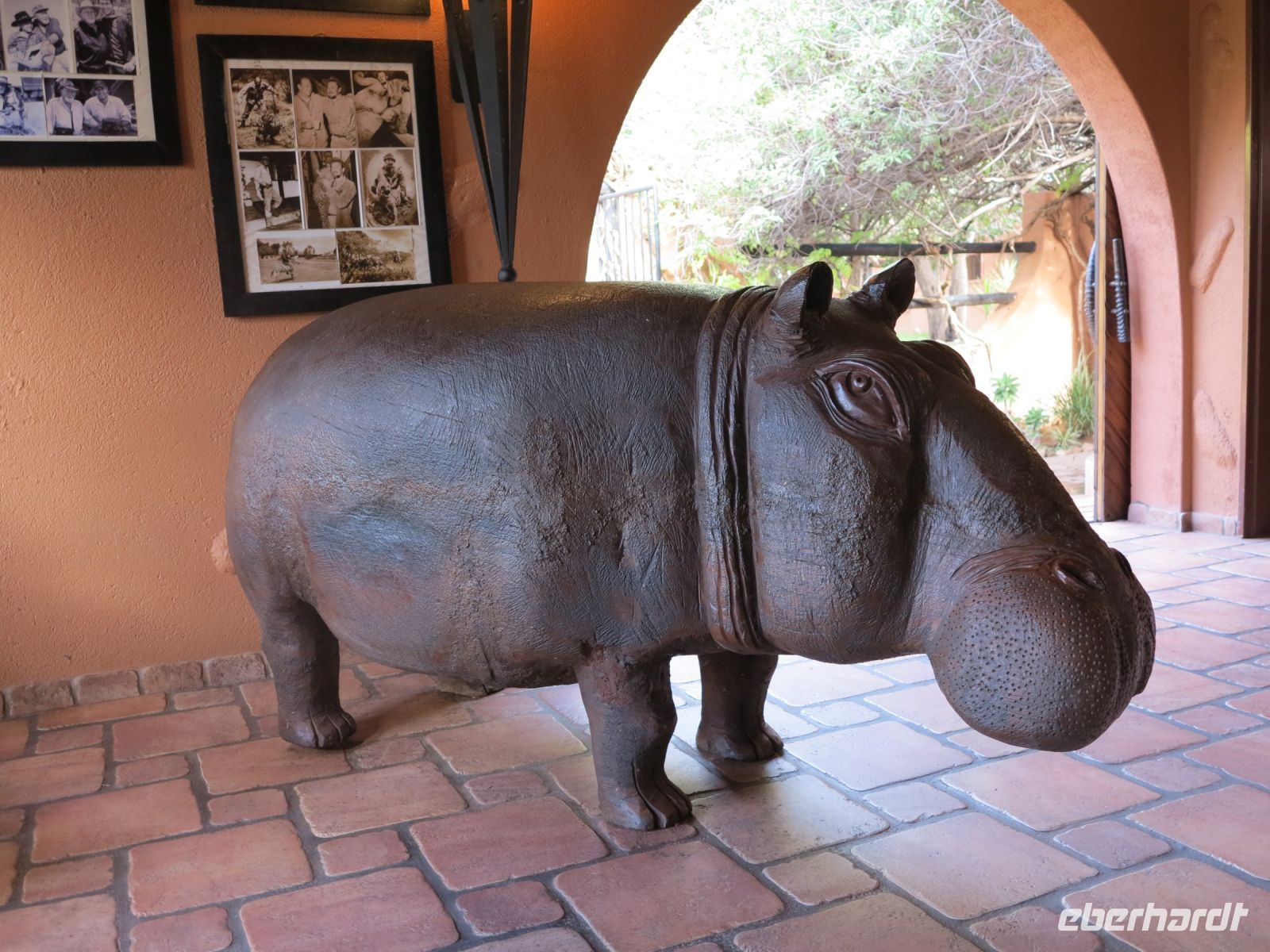 23 Das einzige Hippo weit und breit