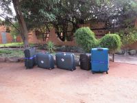 25 Sind das Tiere...