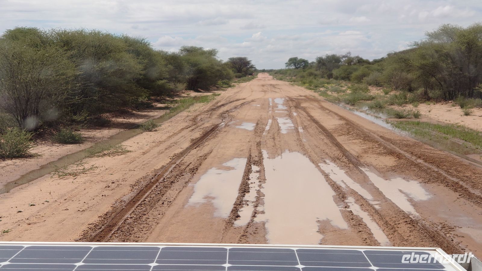 31 Es hatte in der Nacht geregnet...