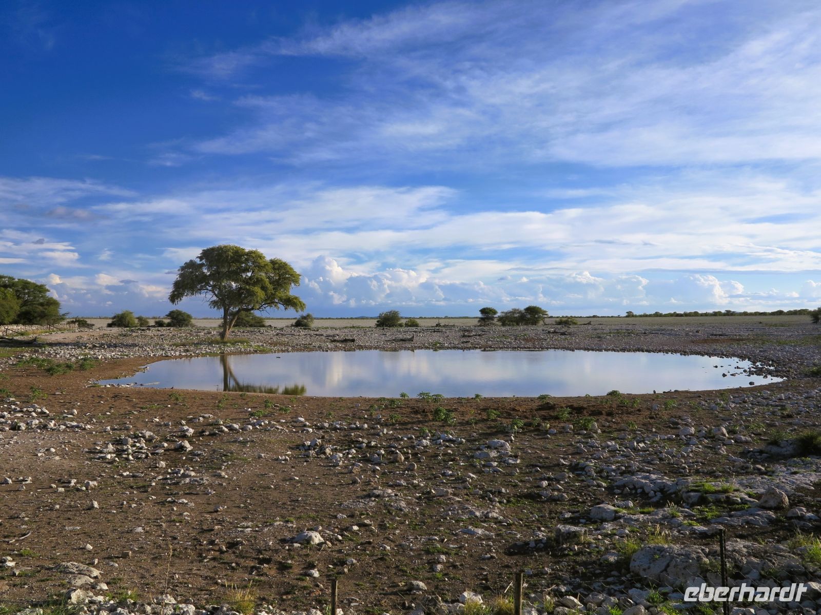 41 Stillleben im Etoscha NP - Wasserloch ohne Tiere