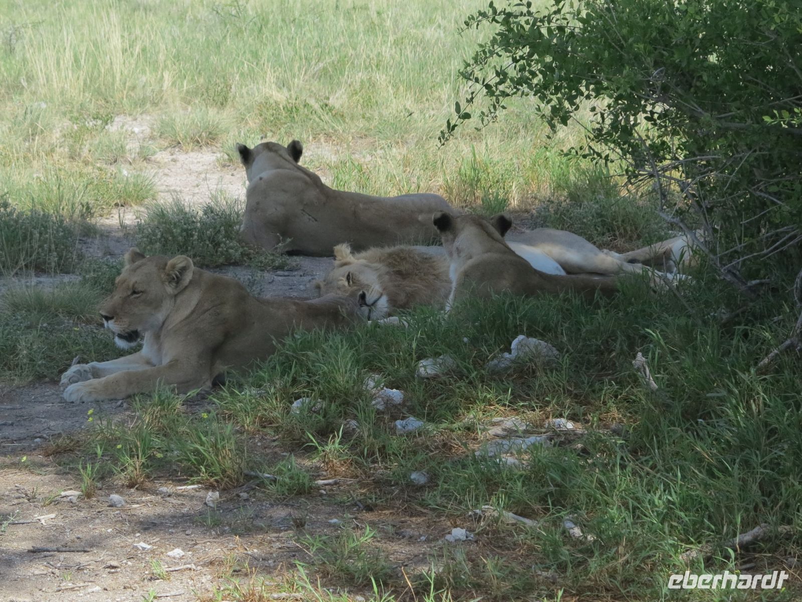 54 Wir ruhen uns bloß aus