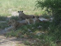 54 Wir ruhen uns bloß aus