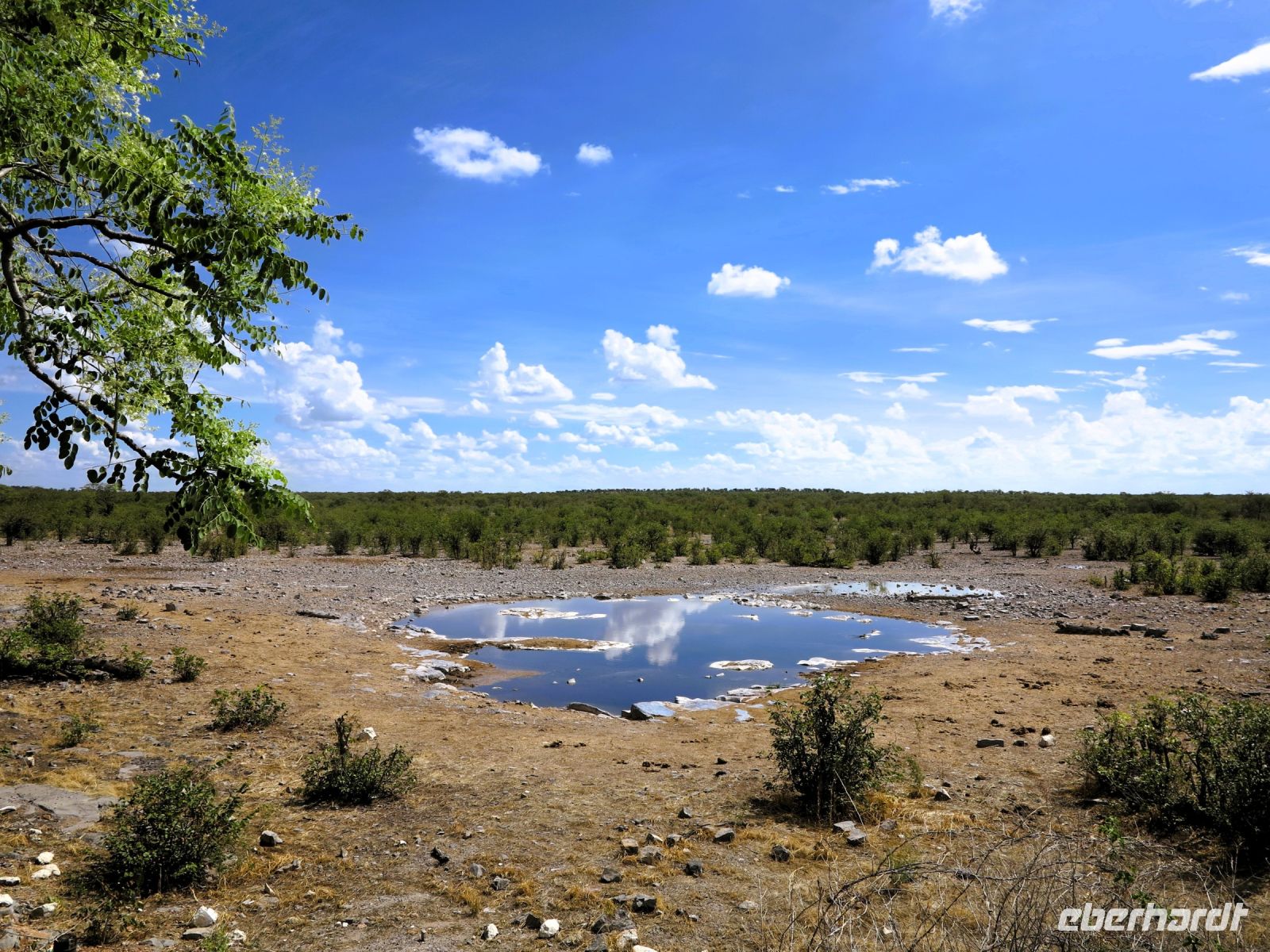 57 Stilleben Wasserloch - Tierfreie Zone