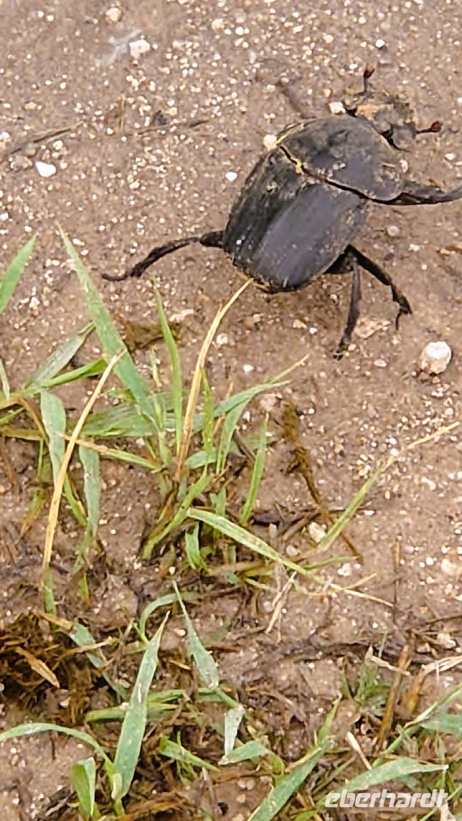 91 Ich bin dann mal weg