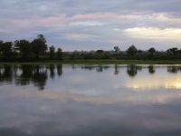 106 Morgenstimmung am Okavango
