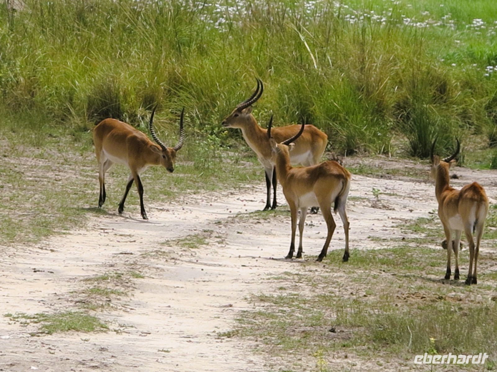 113 Wir blockieren mal den Weg...