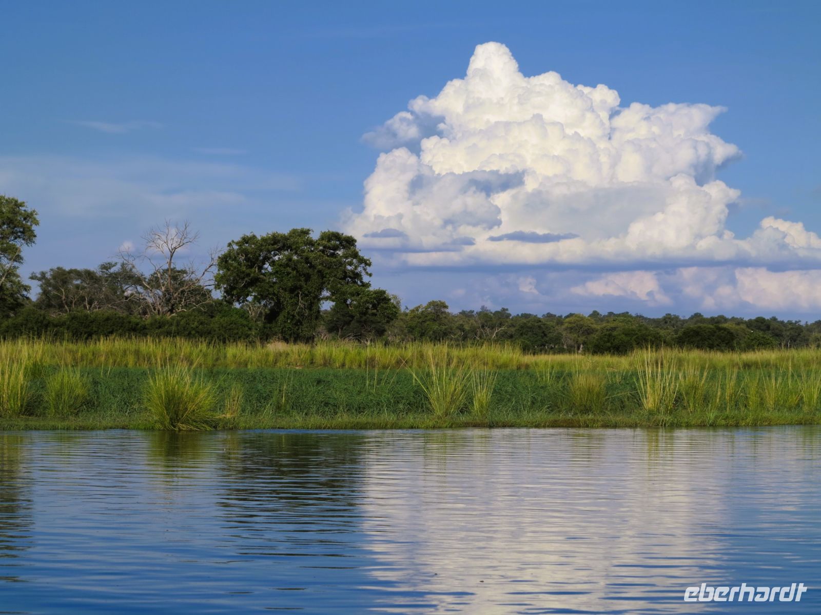 122 Auf dem Okavango