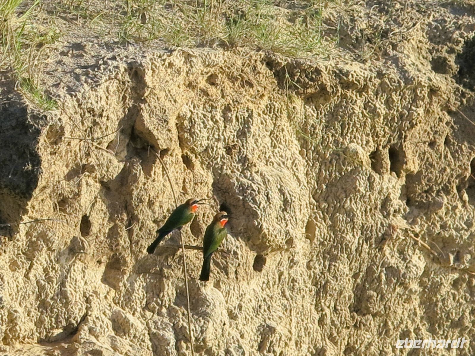 123 Hier wohnen wir!