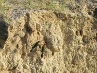 123 Hier wohnen wir!