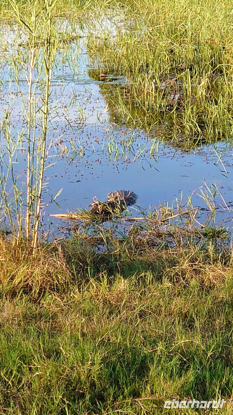 124 Tarnung ist alles