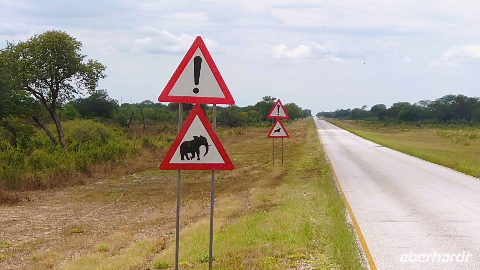 139 Es gibt ja hier doch Elefanten...