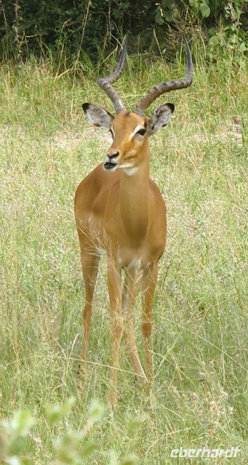 152 Wer beobachtet wen